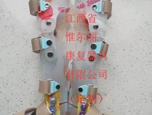 案例展示